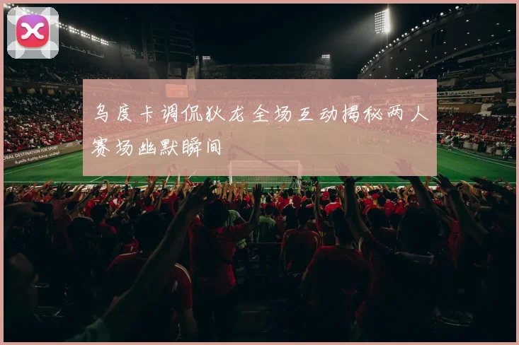 乌度卡调侃狄龙全场互动揭秘两人赛场幽默瞬间