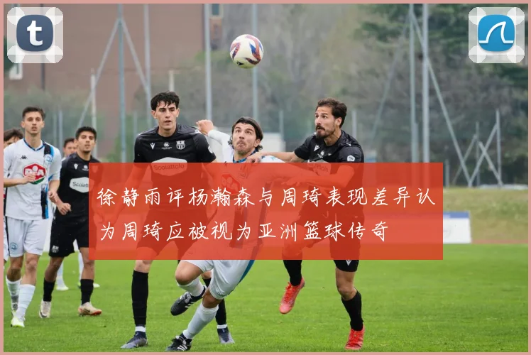 徐静雨评杨瀚森与周琦表现差异认为周琦应被视为亚洲篮球传奇