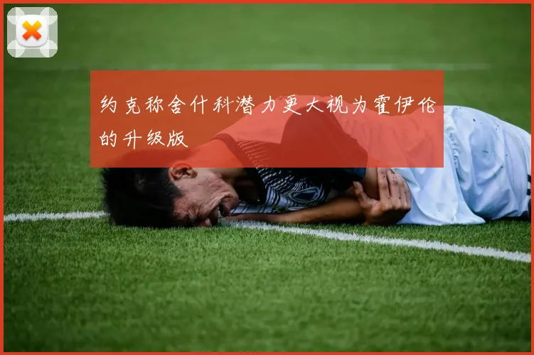 约克称舍什科潜力更大视为霍伊伦的升级版