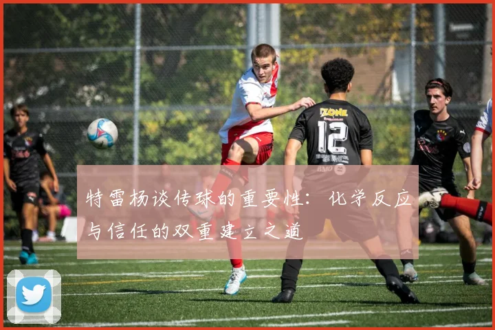 特雷杨谈传球的重要性：化学反应与信任的双重建立之道