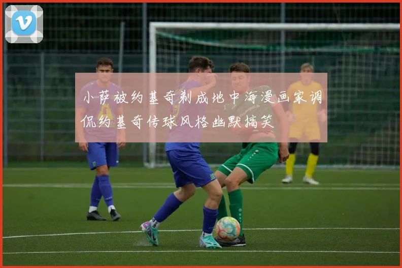 小萨被约基奇剃成地中海漫画家调侃约基奇传球风格幽默搞笑